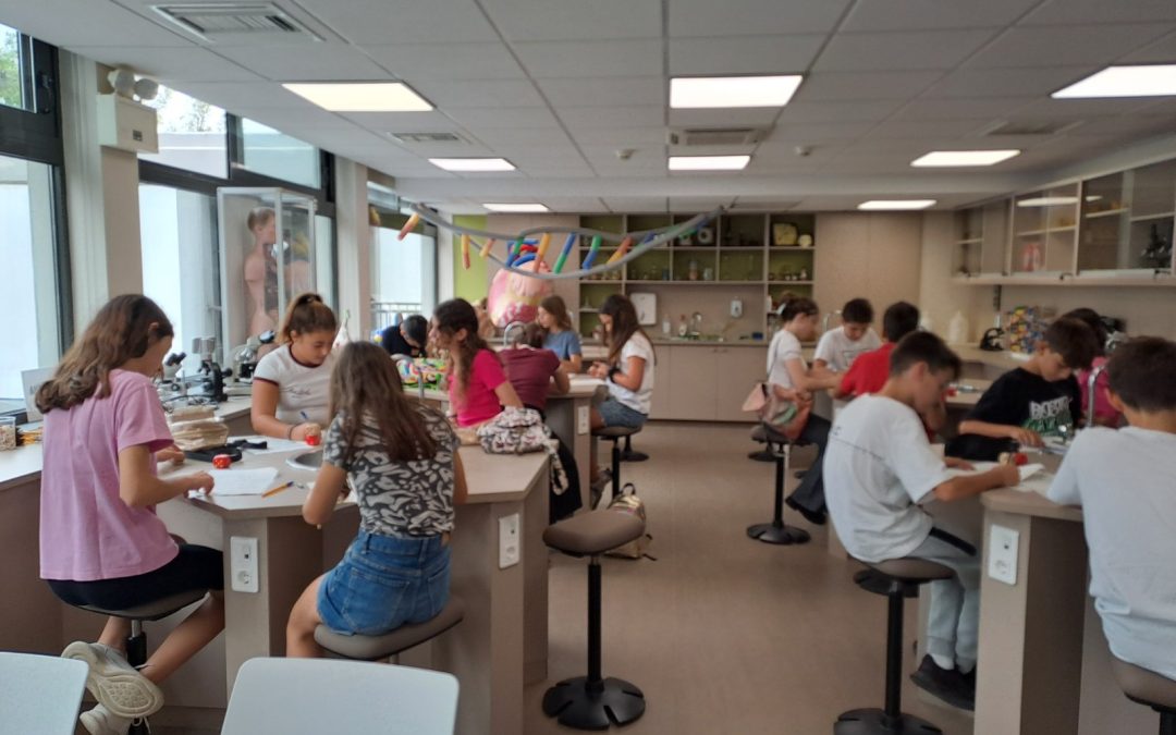 PIERCE: Future Skills Academy: Μια πρωτοποριακή εκπαιδευτική πρωτοβουλία από το Pierce και το Εθνικό Ίδρυμα Ερευνών