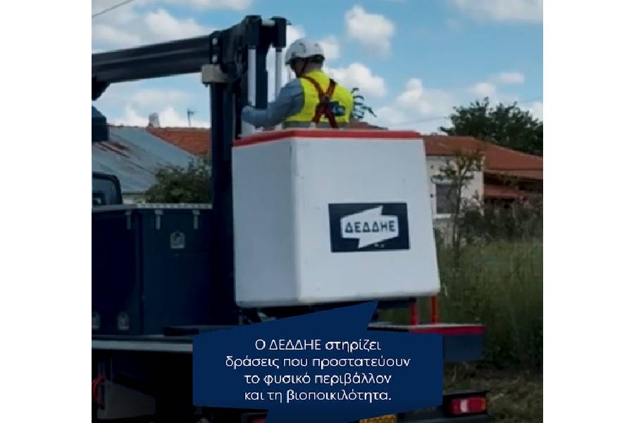 ΔΕΔΔΗΕ: Υλοποιεί δράσεις για την προστασία των πελαργών